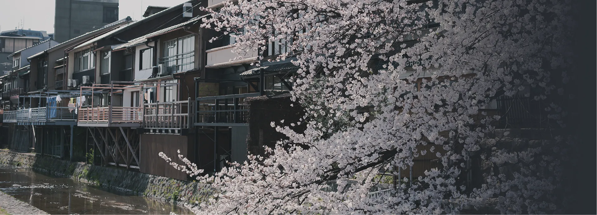 今、ここにしかない京と今日を愉しむ旅をあなたに。