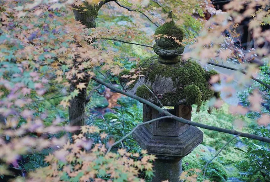 時をかさね、時をこえた 「きょう」の魅力にであう。