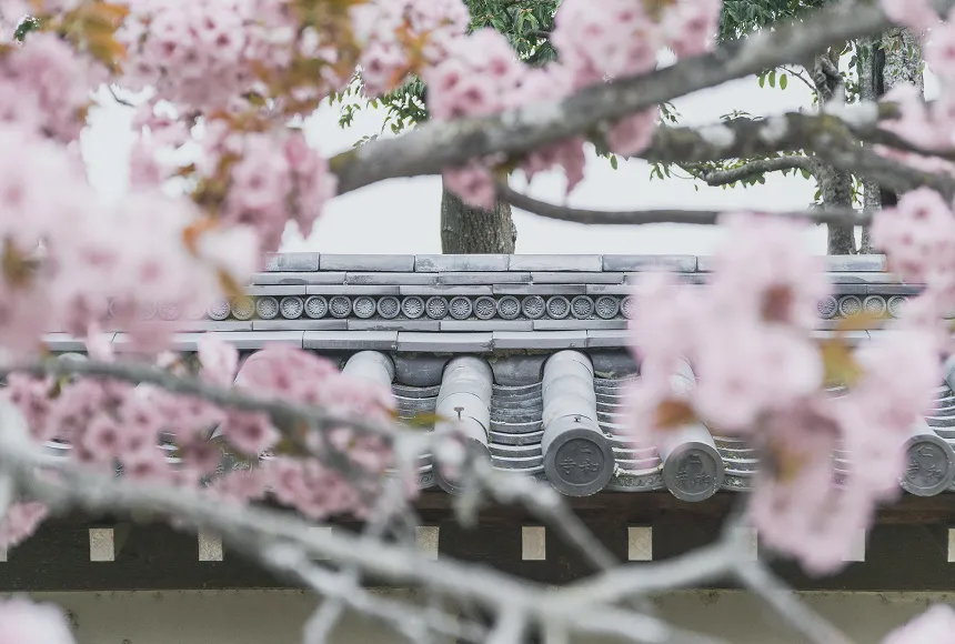 時をかさね、時をこえた 「きょう」の魅力にであう。