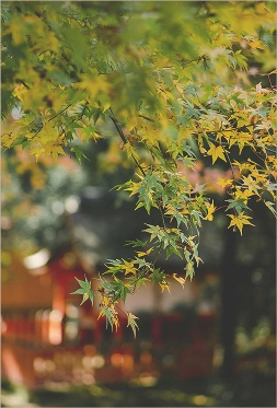 時をかさね、時をこえた「きょう」の魅力にであう。