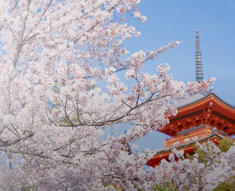 周辺観光のページメイン画像